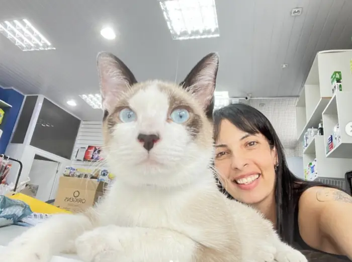 Gata de olhos azuis em selfie com a equipe da Azzurra