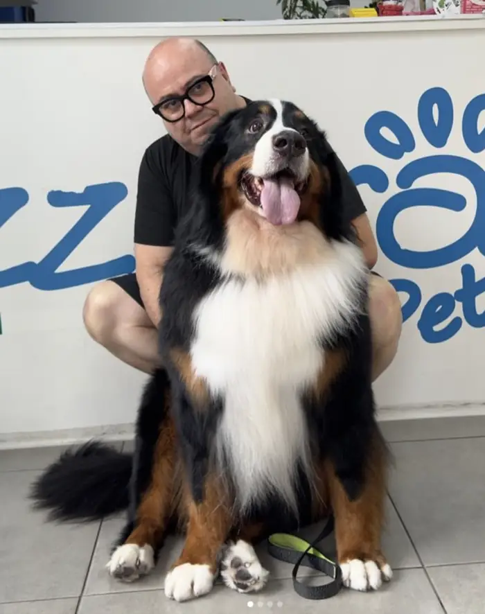 Tutor com bernese gigante em frente ao logo da Azzurra