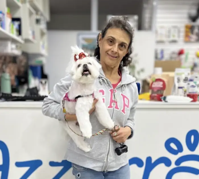 Tutora com maltês de lacinho após banho e tosa na Azzurra