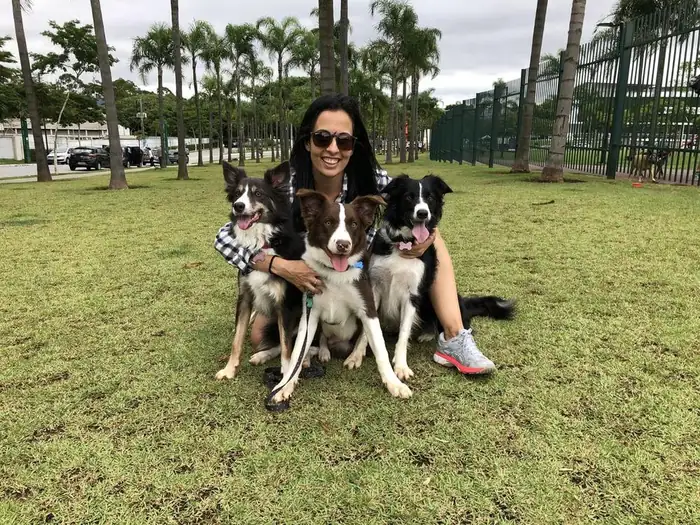 Tutora com três Border Collies da Azzurra Pet Shop